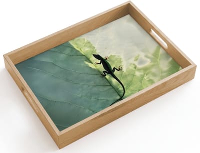 Dienblad hout 40x30 cm - Schootdienblad - Hagedis - Blad - Nerven - Groen - Borrelplank rechthoek - Plateau dienbladen