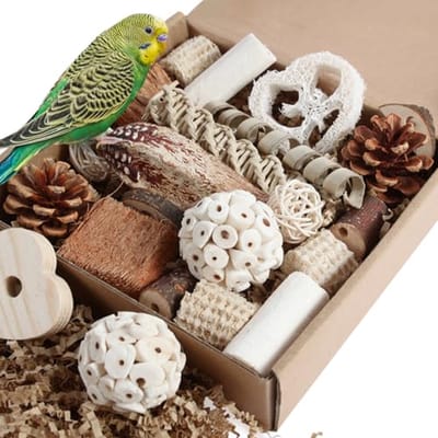 Kyouki Vogelspeelgoed, papegaaienspeelgoed, natuurlijke vogel, foerageerdoos, voetspeelgoed voor parkieten, kakels, conures, liefdesvogels en andere kleine tot middelgrote vogels (Medium)