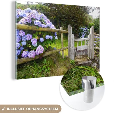 ® Glasschilderij 180x120 cm - Schilderij acrylglas - Cottage tuin met hortensia's - Foto op glas - Muurdecoratie woonkamer - Wanddecoratie slaapkamer - Schilderijen