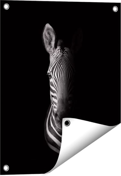 Gards Tuinposter Halve Zebra - Zwart Wit - 40x50 cm - Tuindoek - Tuindecoratie - Wanddecoratie buiten - Tuinschilderij