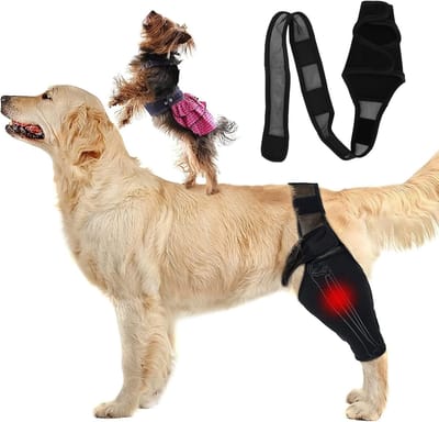 Hond Elleboogbrace Protector Pads, Elleboog Ondersteuning Compressie Wrap Kniebrace voor Honden Honden Elleboog en Schouder Ondersteuning, Dysplasie, Artritis, Elleboog Eelt, Doorligwonden(XS)