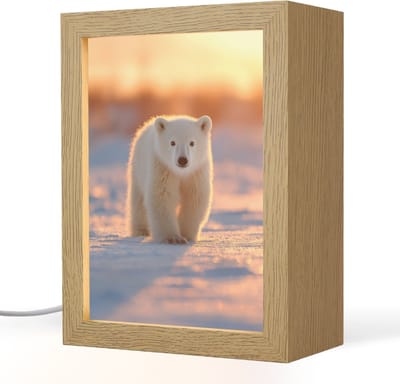 Nachtlampje 15x20 cm - Kinder lampje - Ijsbeer - Sneeuw - Zonsopgang - Tafellamp kinderkamer - Slaapkamer lamp - Bedlamp kinderen - Kinderlampje stopcontact - Wandlamp babykamer - Nachtlampjes