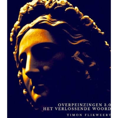 Overpeinzingen 3.0: Het Verlossende Woord - Timon Flikweert