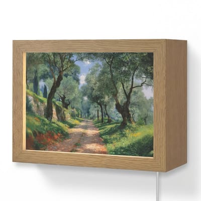 Wandlamp 20x15 cm - Oplaadbaar - Pad - Bomen - Schaduw - - Wandlampen binnen woonkamer - Slaapkamer lamp met kabel - Decoratieve nachtlamp - Vloerlamp snoer