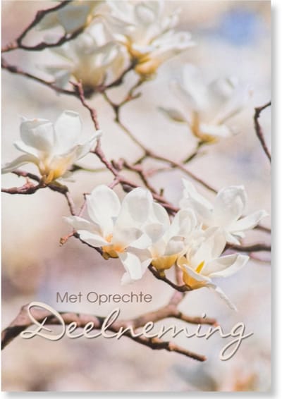 Cards & Crafts Condoleancekaart - Met Oprechte Deelneming Wenskaart - 12 x 17 cm - gevouwen kaart Inclusief envelop