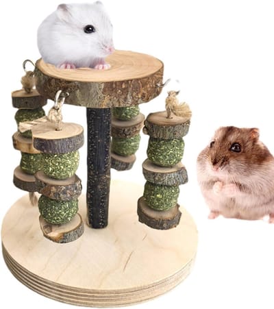 Hamster kauwspeelgoed - Knaagdier accessoires - Tandverzorging stimuleren - Natuurlijk appelhout - 19.5 cm lengte - Natuurlijk
