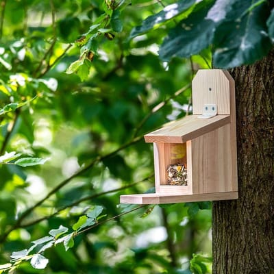 CJ Wildlife - Bouwpakket Eekhoorn Voederhuis Sanjo - Voor kinderen - FSC -gecertificeerd material - Met handleiding