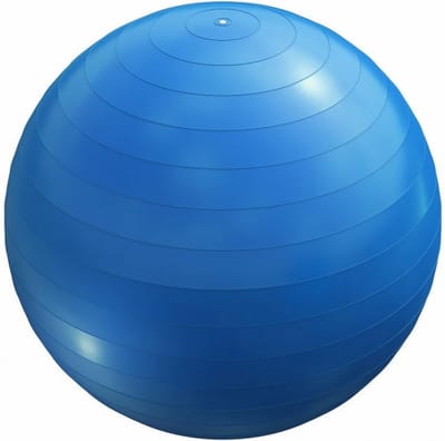Gorilla Sports Fitnessbal Ø 65 cm - incl. Pomp - Gym bal - Yoga - Belastbaar tot 500 kg - Blauw