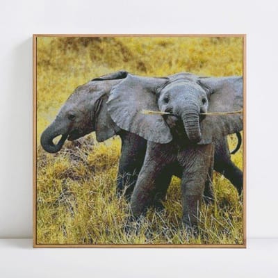 Diamond schilderij met ronde stenen Strass borduurwerk cadeau dieren Cross Stitch Kit 30x30