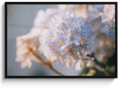 Poster in lijst - Fotolijst 120x80 cm - Posters - Bloemen - Lichtblauw - Wazig - Trosje - Posterlijst zwart - Decoratie - Wanddecoratie woonkamer - Muurdecoratie slaapkamer