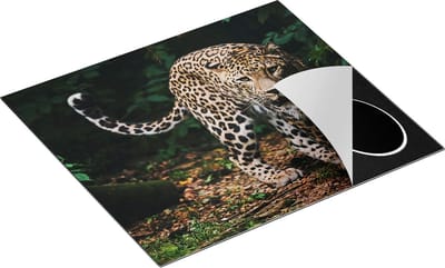 Chefcare Inductie Beschermer Luipaard in het Bos - 60x50 cm - Afdekplaat Inductie - Kookplaat Beschermer - Inductie Mat