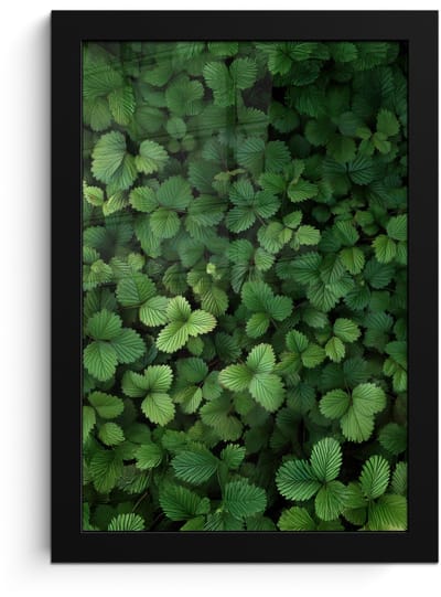 Poster in lijst - Fotolijst 20x30 cm - Posters - Groen - Bladeren - Kartel - Zonlicht - Posterlijst zwart - Decoratie - Wanddecoratie woonkamer - Muurdecoratie slaapkamer