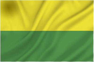 Vlag Den Haag