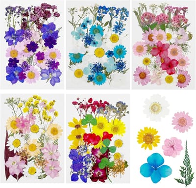 Gedroogde Bloemen - Natuurlijke Decoratie - Hars Ambachten - Echte Planten - 170 Stuks - Gemengde Kleuren
