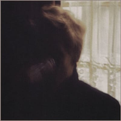Days In The Wake - Palace Brothers
