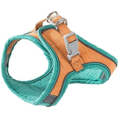 Kattenharnas Mode Reflecterend Vest Huisdierharnassen Buiten Wandelen Kleine Katten Honden Bloemenprint Harnas Halsband Katten Accessoires S-Less than 2KG groen/oranje