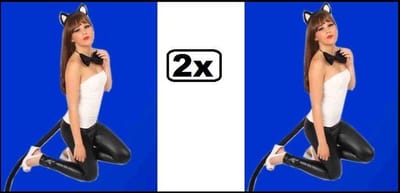 2x Dierenset 3-delig kat