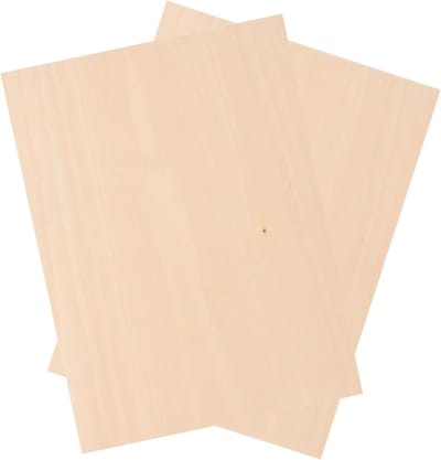 Houten Platen - Ambachtelijke Bladen - DIY Knutselen - Lindehout Materiaal - 30x22x0.4CM - Beige