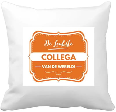 Akyol - de leukste collega Kussen hoes - Collega - beste collega - werk - afscheidscadeau - verjaardagscadeau - kado - 40 bij 40 cm