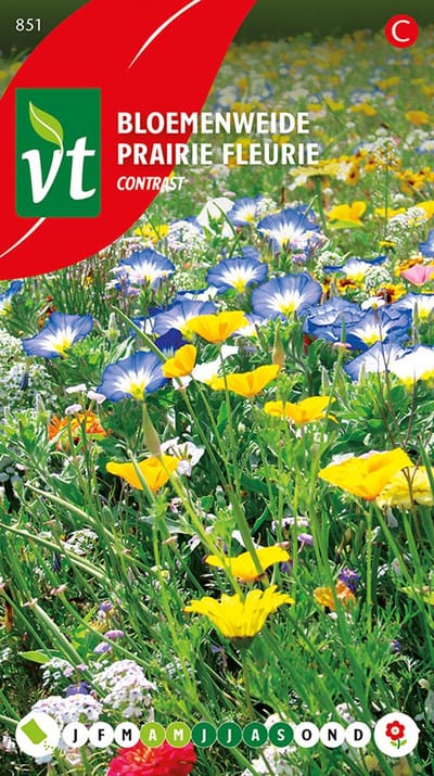 Bloemenweide Contrast - Laagbloeiende planten met contrastrijke kleuren