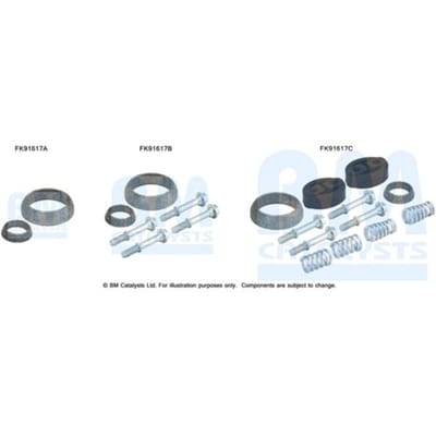 Montageset, katalysator BM CATALYSTS FK91617C