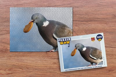 Puzzel Een ondeugende duif met een koekje in zijn mond - Legpuzzel - Puzzel 500 stukjes