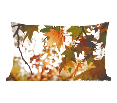 Sierkussens - Kussentjes Woonkamer - 50x30 cm - Natuur - Herfstbladeren - Landelijk