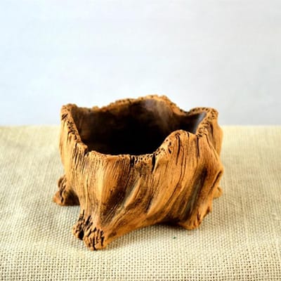 Imitatie Houten Palen Boomwortels Planten Planten Potplanten Retro Cement Hout Planten Succulenten Creatieve Bloempotten