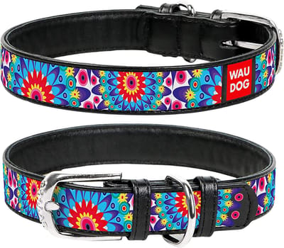 WAUDOG Flower Halsband / Hondenhalsband - Echt Leder - Zwart - Full Colour Print - Breedte: 20 mm - Nekomtrek: 30 - 39 cm (GELIEVE ALVORENS BESTELLEN OPMETEN)