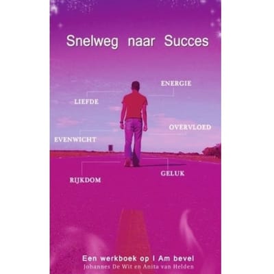 Snelweg Naar Succes - Johannes De Wit
