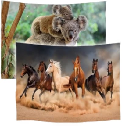 Ulticool – Wandkleed - Paarden Zand Natuur Dieren Koala - Set van 2 designs - 73 cm x 95 cm – Schilderij Wandtapijt Stof – Poster Art – Bruin Groen Beige