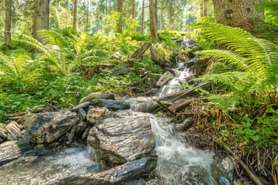 Fotobehang bergbeekje Oostenrijk Smaragdtahl 250 x 260 cm - € 175,--