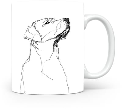 Beker Labrador Retriever