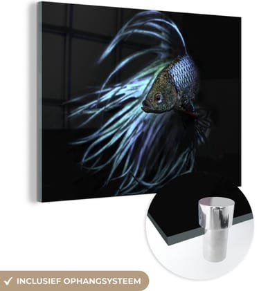 MuchoWow® Glasschilderij 160x120 cm - Schilderij acrylglas - Vis - Zeedieren - Blauw - Zwart - Foto op glas - Schilderijen
