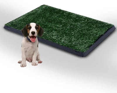 Puppy Toilet - Zindelijkheidstraining hond - Hondentoilet - Kunstgras - Puppy pads - 63 x 51 x 6 cm