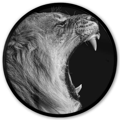 Poster in lijst Rond - Fotolijst 40x40 cm - Posters - Dieren - Leeuw - Zwart - Wit - Portret - Ronde posterlijst zwart - Decoratie - Wanddecoratie woonkamer - Muurdecoratie slaapkamer