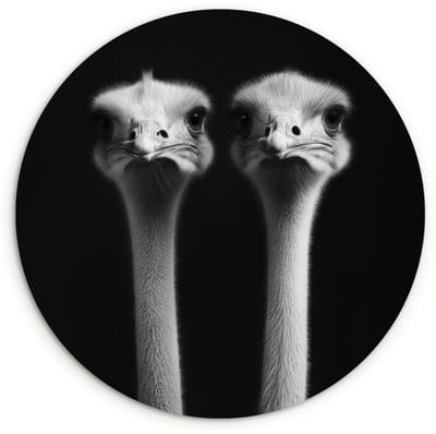 WallCircle® Wandcirkel 120x120 cm - Muurcirkel Struisvogels - Halzen - Zwart - Minimalistisch - Muurdecoratie woonkamer - Wanddecoratie slaapkamer - Kamer decoratie accessoires - Ronde schilderijen XXL