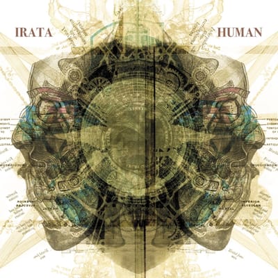 Human