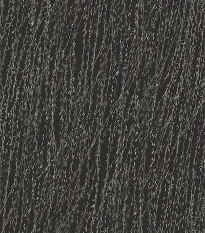 Dutch Wallcoverings - Tapestry Willow Steamside Black - TP422506