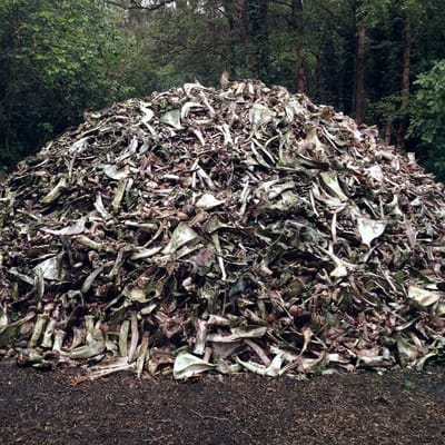 Briqueville - II (CD)