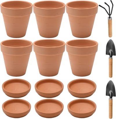 Set van 6 kleine terracotta plantenpotten met onderzetter en drainagegat, ideaal voor vetplanten, decoratie en cadeaus