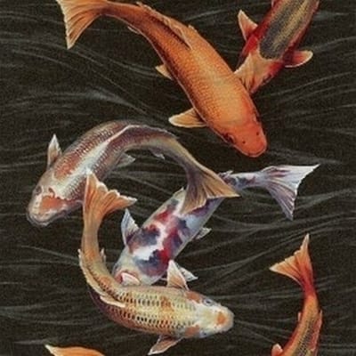 Koi karper behang 781014