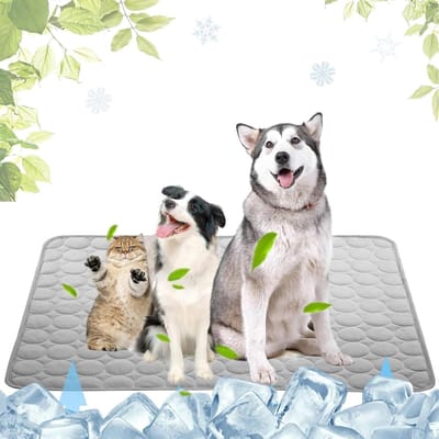 Koelmat voor Honden, 50 x 40 cm, Zachte Koeldeken, Hittebestendig, Ideaal voor Binnen en Buiten, Ademend en Diervriendelijk, Geschikt voor Honden en Katten