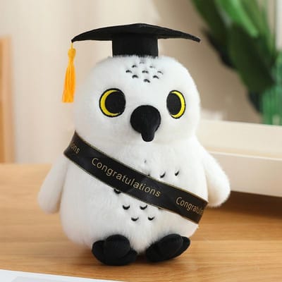 Doktershoed Uil Pluche Speelgoed Afstudeercadeau Zacht Knuffeldier Cartoon Kussen Verjaardagscadeau voor Kinderen 20cm