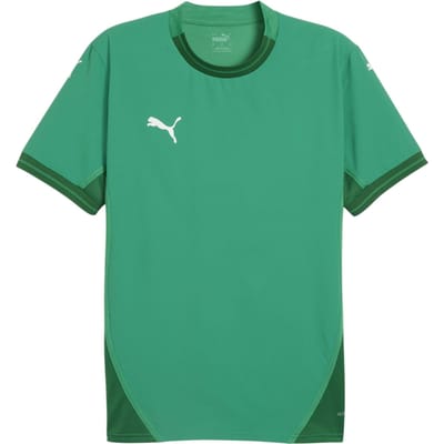 Puma Heren TeamFinal Jersey T-Shirt (Sport Groen)