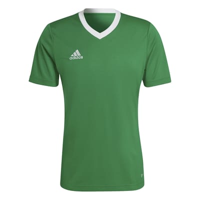 adidas Performance Entrada 22 Voetbalshirt - Heren - Groen- 2XL