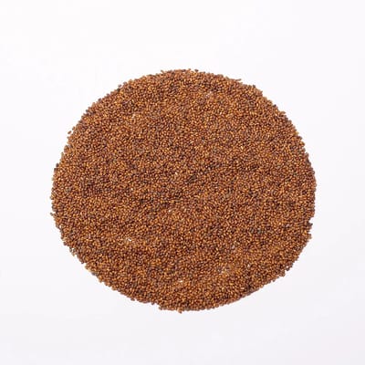 Microgreens Seeds 250g - Luzerne Zaden - Alfalfa Microgroenten Zaden 250g Green Chief