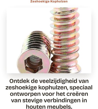 Dailygoods- Kophulzen 20 Stuks - Zeshoekige Schroefafdruk - Koolstofstaal - M6 x 25 mm - Schroefdraad voor Houten Meubels - Stevig en Schokbestendig - Insteekmoeren