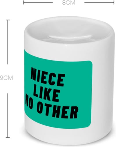 Akyol - niece like no other Spaarpot - Nicht - geweldige nicht - niemand anders - verjaardag - cadeau - kado - bedankje - geschenk - 350 ML inhoud