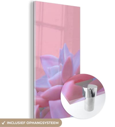 MuchoWow® Glasschilderij 20x40 cm - Schilderij acrylglas - Vetplant - Zomer - Roze - Planten - Foto op glas - Schilderijen